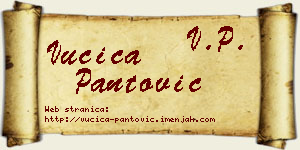 Vučica Pantović vizit kartica